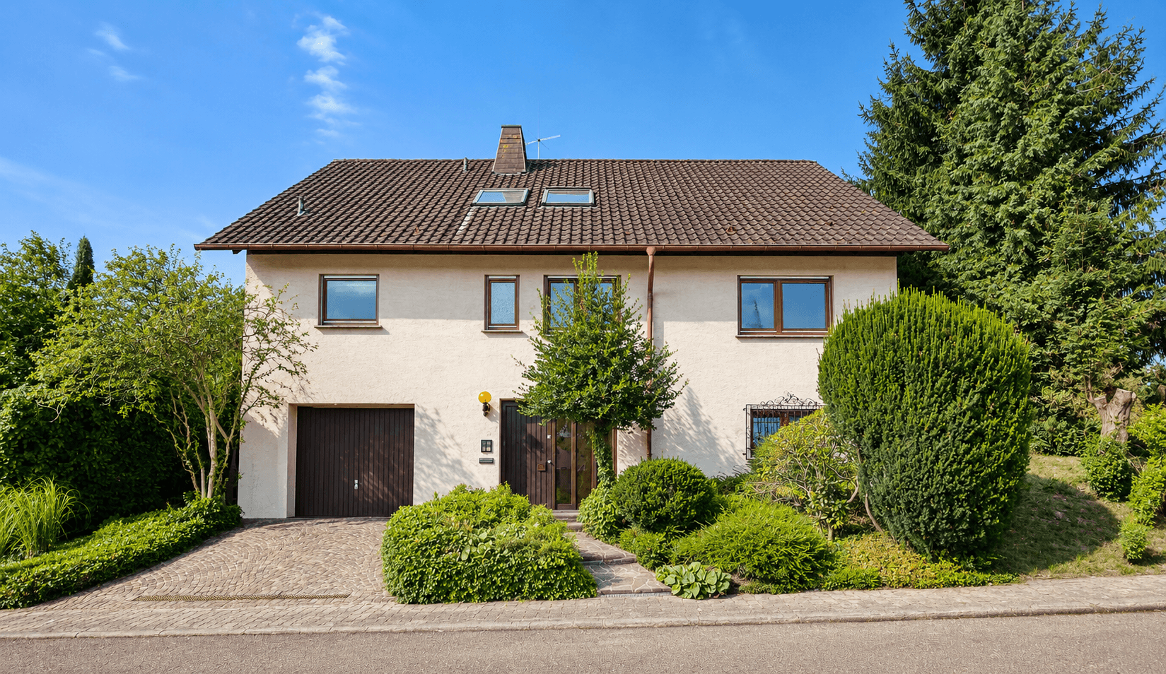Vorderansicht 1